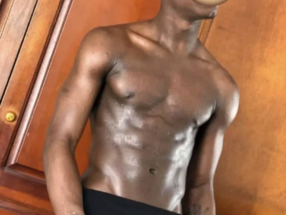 blessed-cock