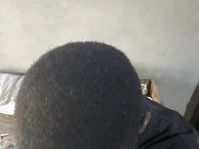 Leeszim26