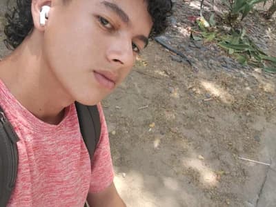 Santy_Stump