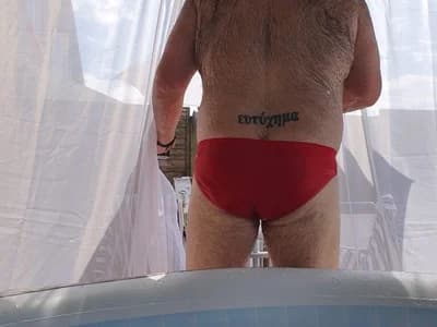 greyoakbear
