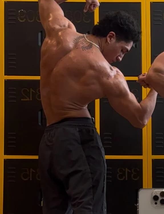 Bull__fit