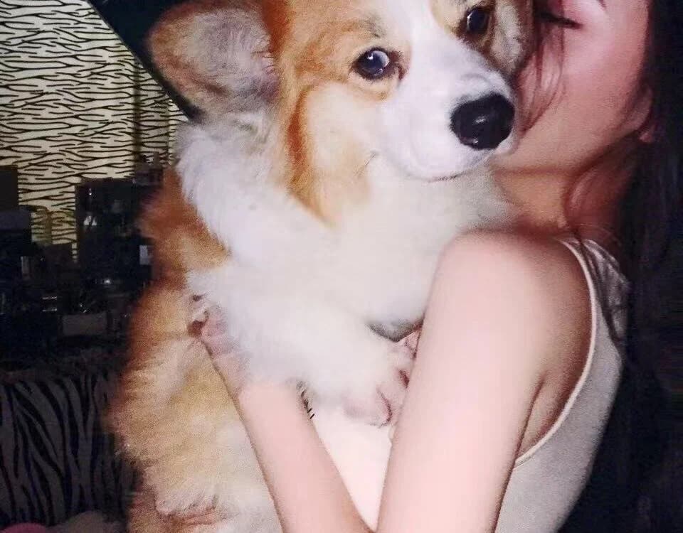 vyizh-