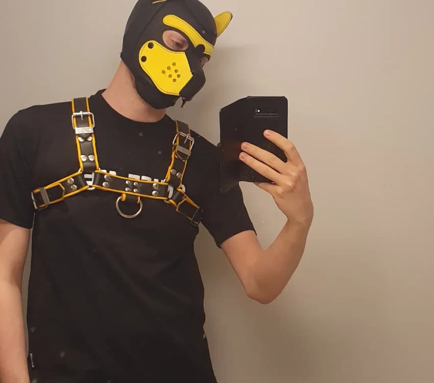 Pup_Noir