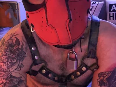 Talk to guy italian danix_wild_wolf and other friendly Italians online