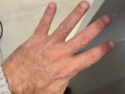 gitano697