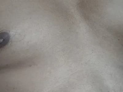 Bigbul6