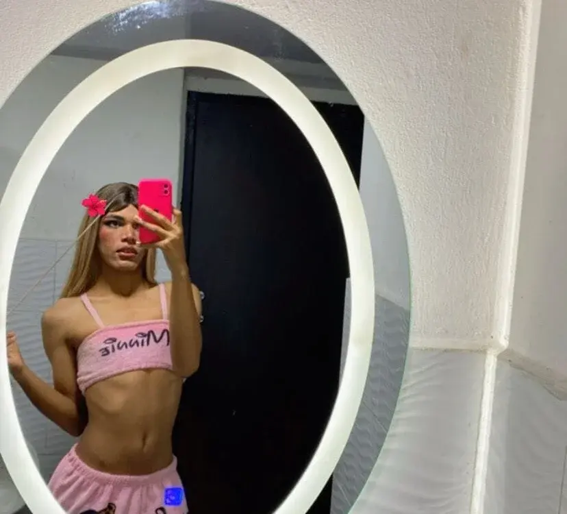 New Colorful trans cams in the live directory