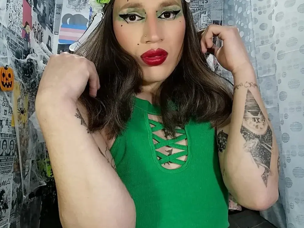 Swallow trans cams streaming today