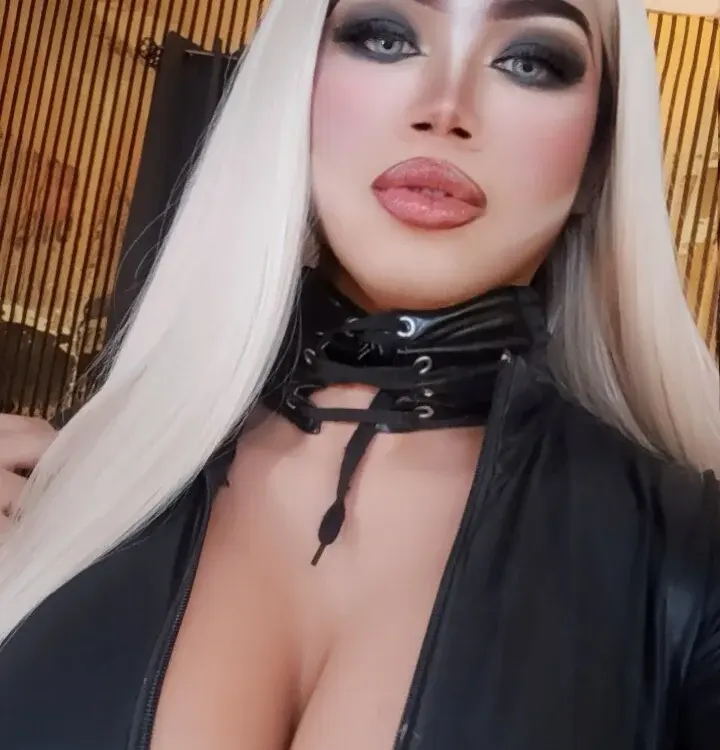 HD trans cams in the live directory