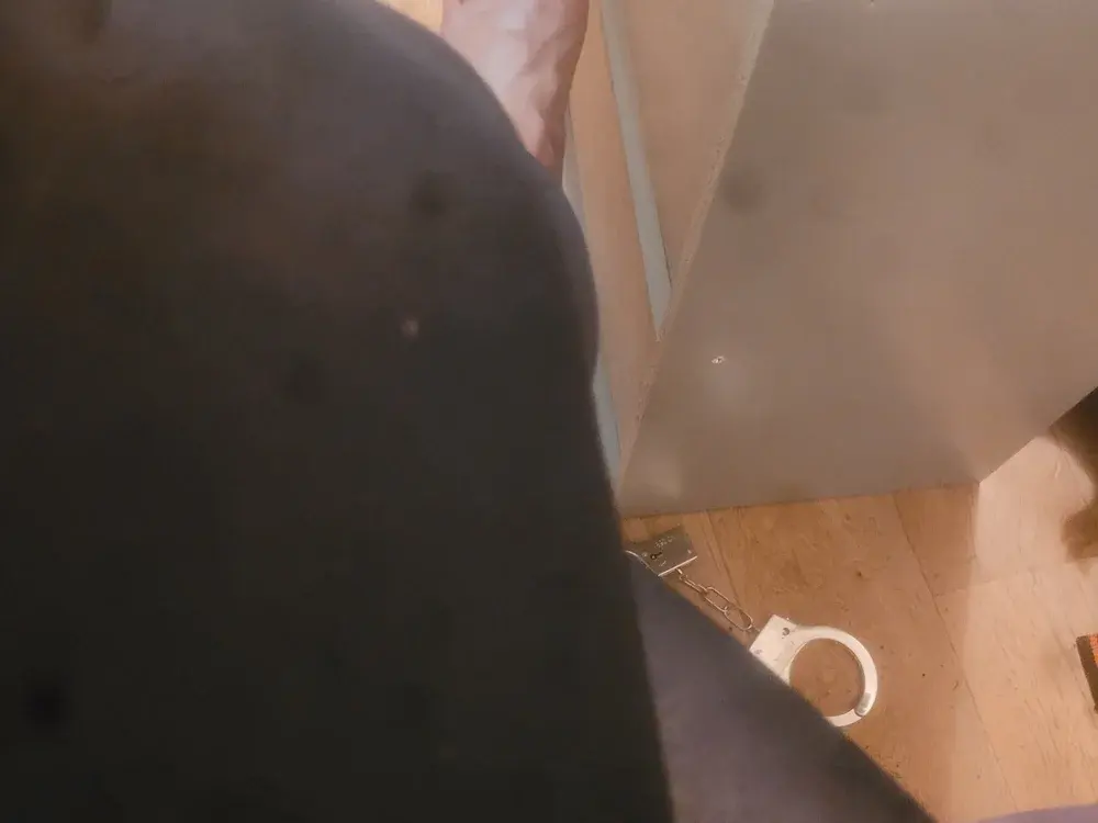 Swingers trans cams